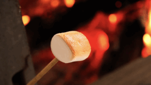 【日帰り】たき火でマシュマロ＆いろりでＢＢＱ（かえるクラブAB） @ かえるのがっこう