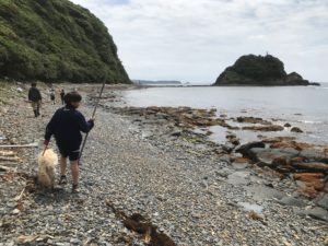 【宿泊】無人島冒険キャンプ（かえるクラブＣ） @ かえるのがっこう